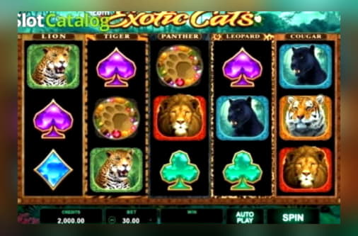 15 FREE SPINS at Guts Casino