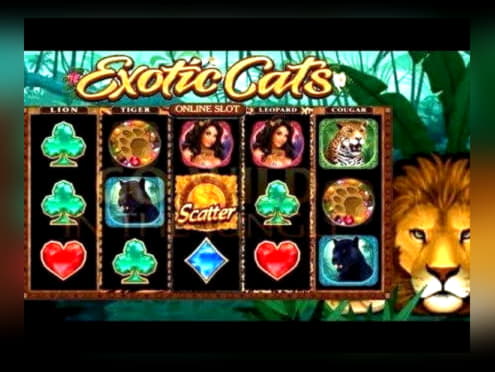 €295 Free Cash at Betway Casino