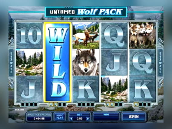 40 Free casino spins at Casino Shadowbet