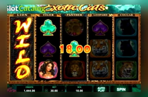 ﻿$650 Free Money at Dunder Casino