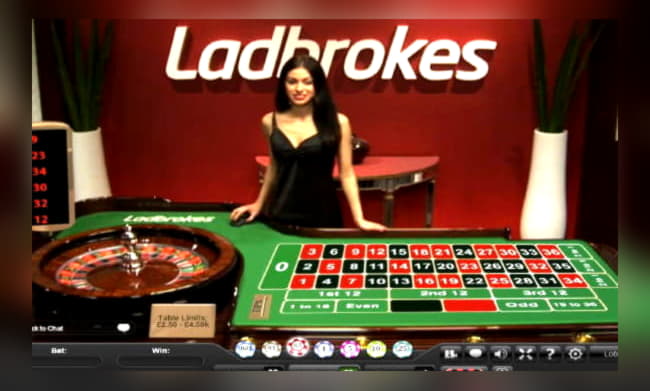 EUR 135 no deposit at Leo Dubai Casino