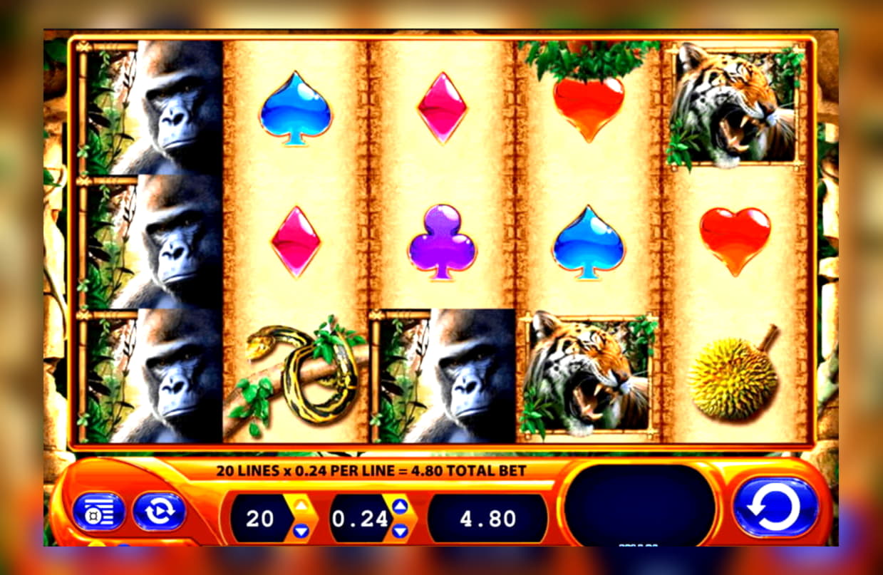 ﻿$525 free casino chip at Spinrider Casino