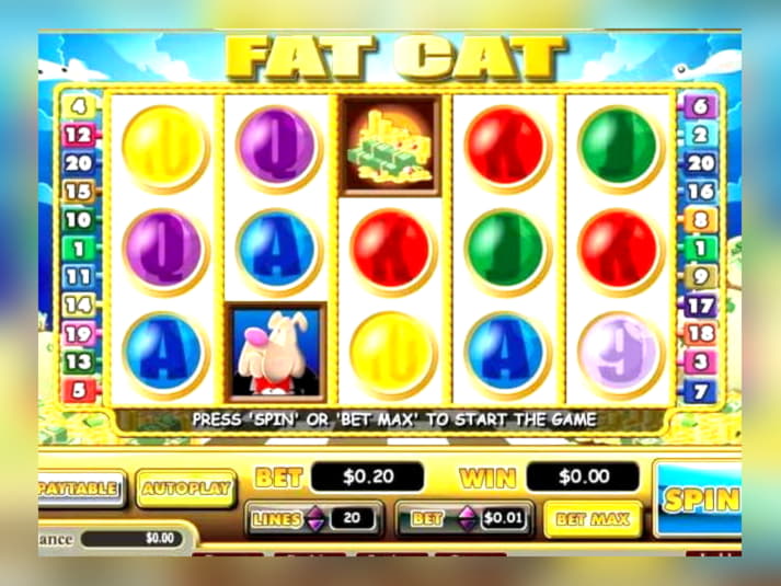 295 Free spins no deposit at Guts Casino