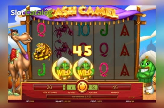 635% Signup Casino Bonus at Kaboo Casino