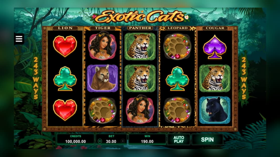 $65 free chip at Video Slots Casino
