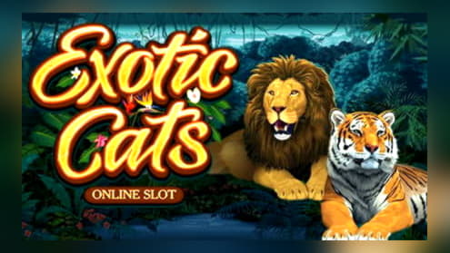 925% Welcome Bonus at Video Slots Casino