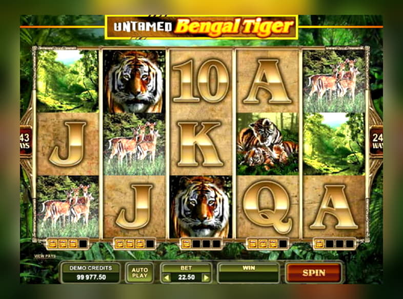 110 Free spins no deposit casino at Sloty Casino