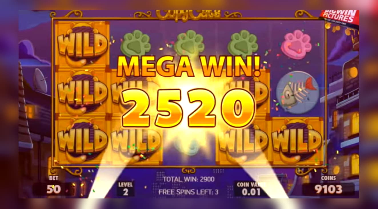 ﻿$535 Free chip casino at Sloty Casino