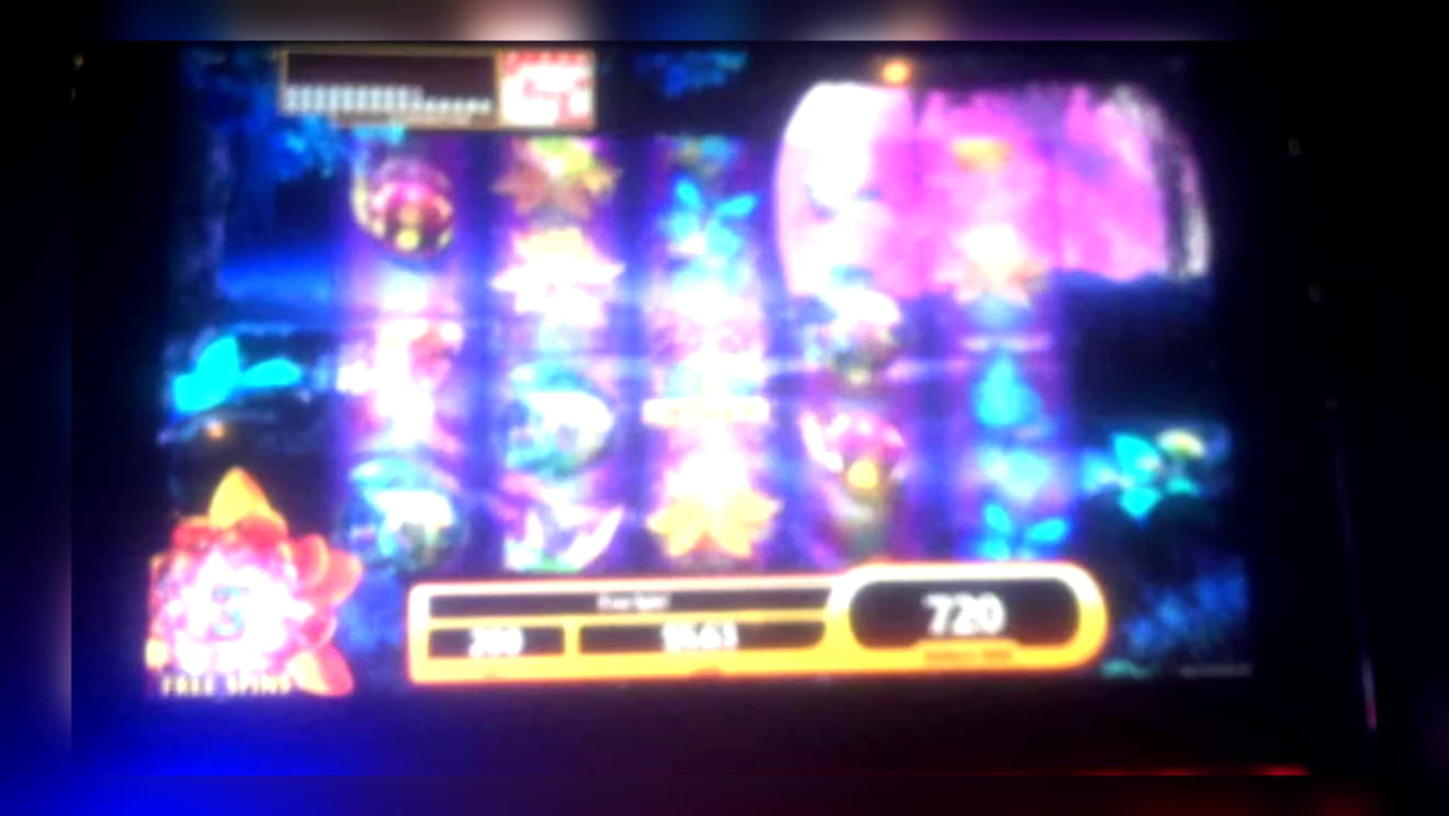 Eur 715 Daily freeroll slot tournament at Kaboo Casino