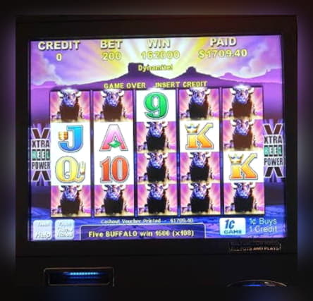 40 Trial Spins at Guts Casino