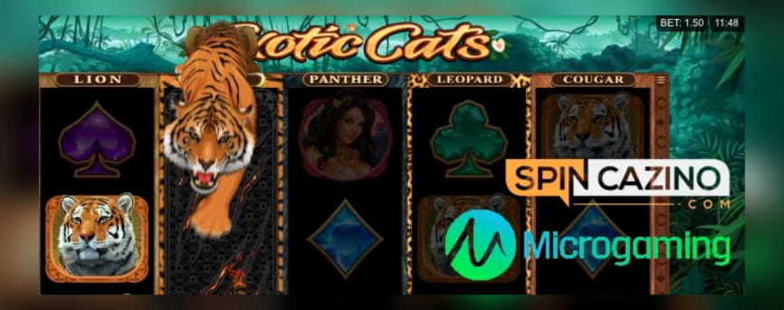 $415 free chip at Jet Bull Casino