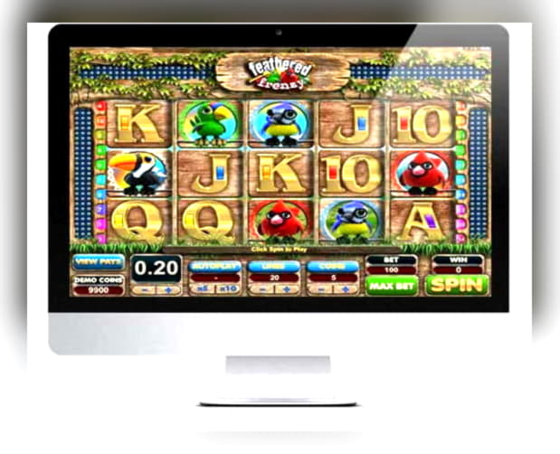 290% Best signup bonus casino at Spinrider Casino