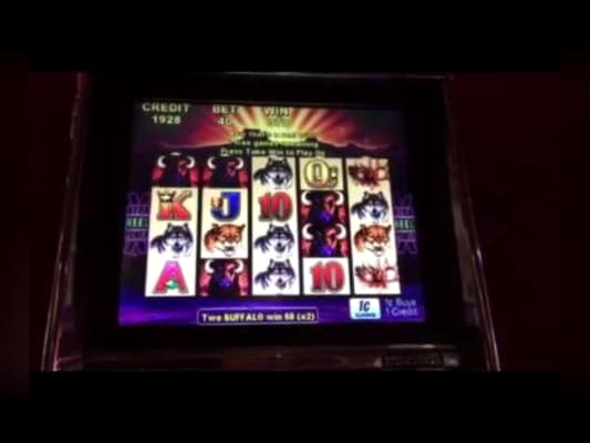 £575 FREE Casino Chip at Casino com