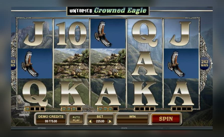 $4420 NO DEPOSIT CASINO BONUS at Rizk Casino