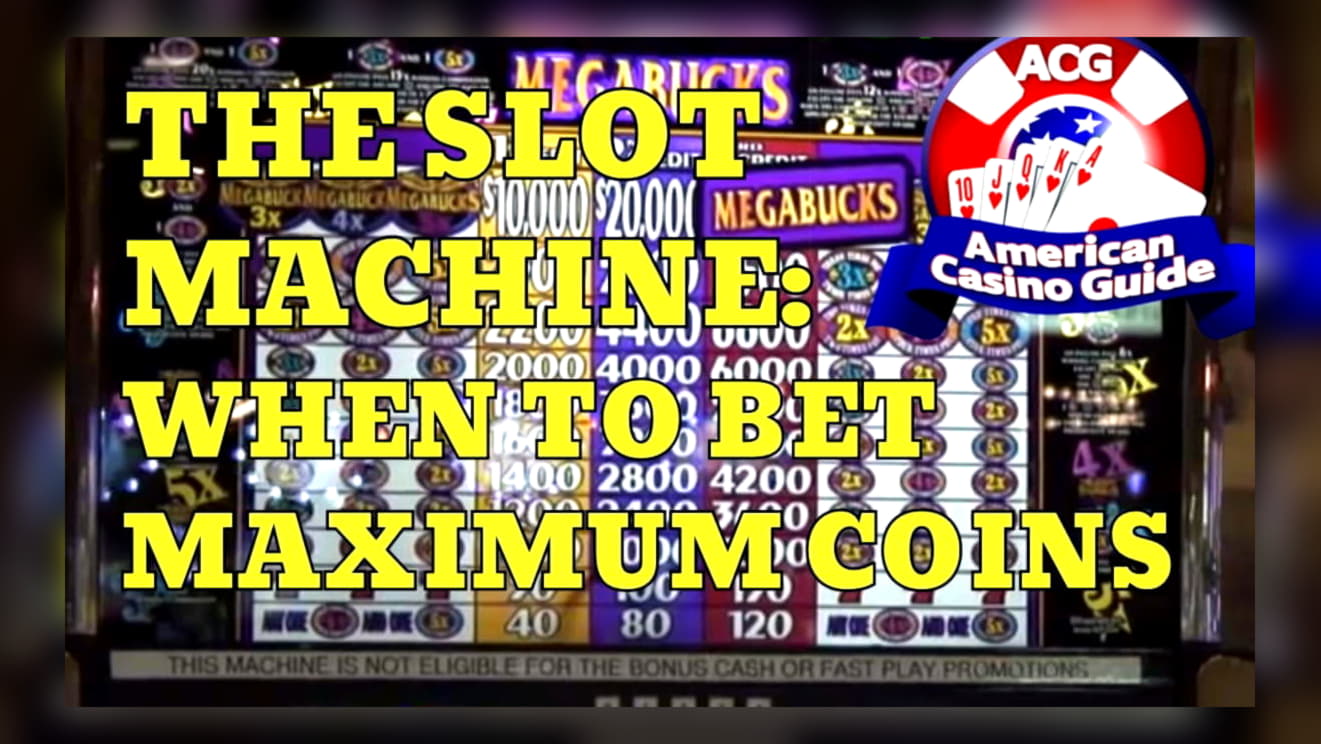 780% Match Bonus Casino at Rizk Casino