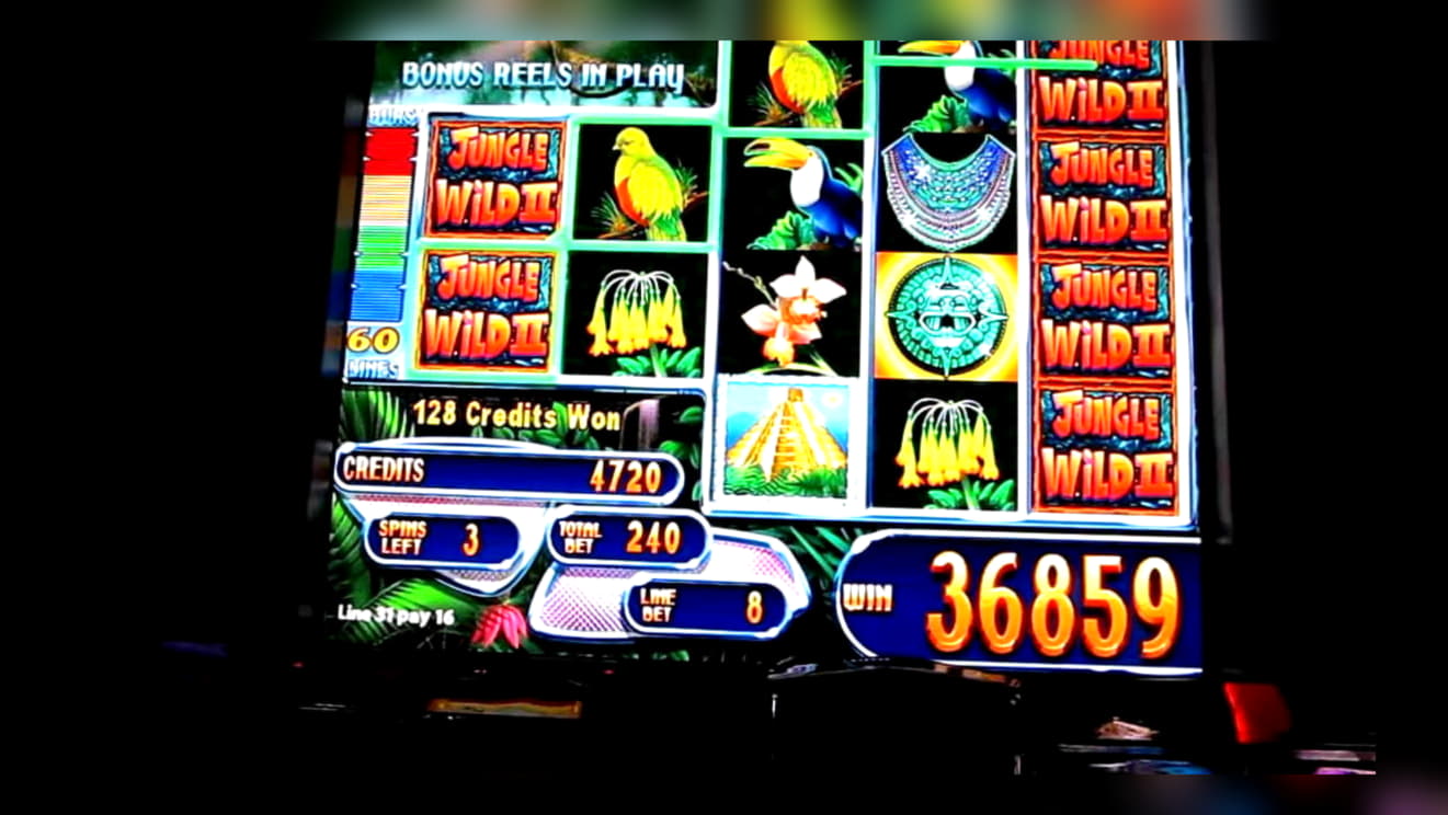 ﻿$1355 NO DEPOSIT BONUS CASINO at Vera and Jhon Casino