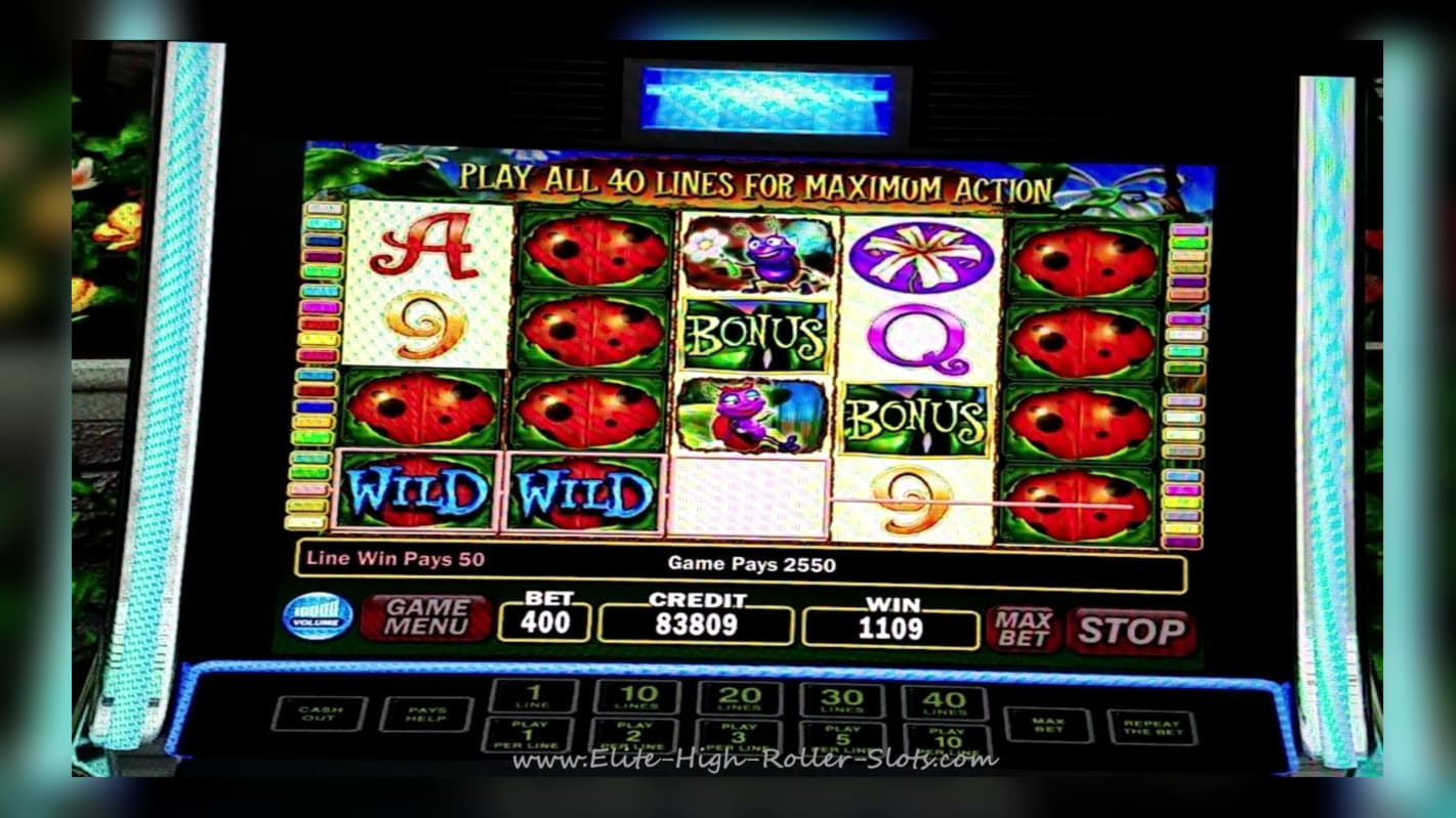 ﻿$805 Daily freeroll slot tournament at Betway Casino