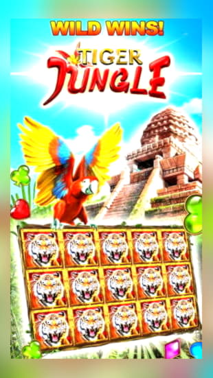 320% Match Bonus Casino at Slots Million Casino