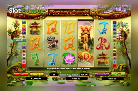 EUR 595 casino chip at Vera and Jhon Casino