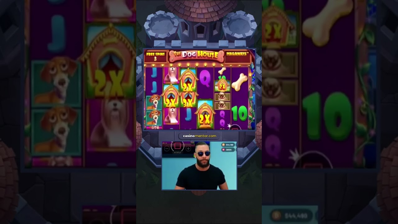 Big Win #shorts #casinomentor #gambling #onlinecasino #Norwegian Casino Online #bigwin