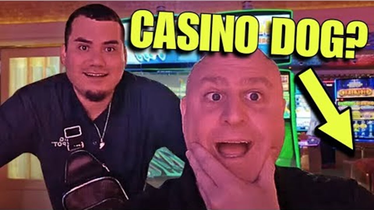 The Largest Bets In History!  ? Brand New Buffalo Gold Wheel of Rewards!