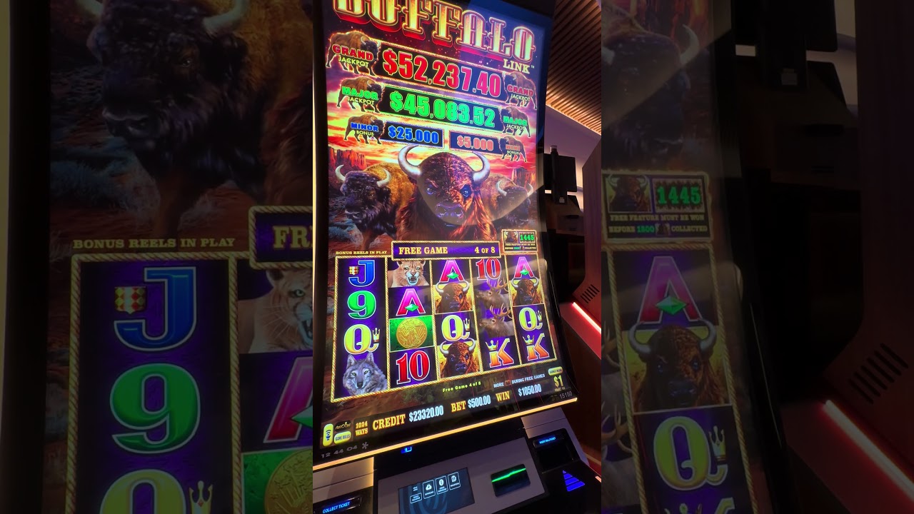 {$500/Spin Buffalo Link} #Norwegian Casino #hardrock #gamingshorts