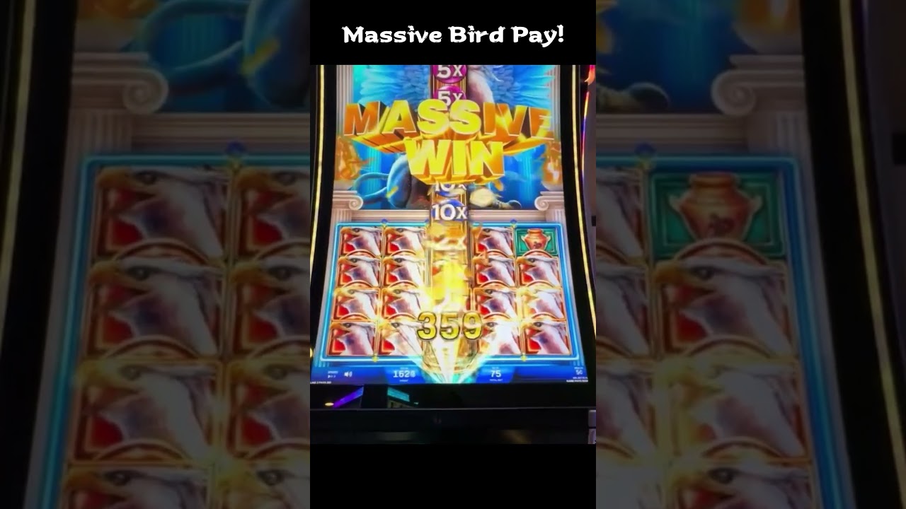 Massive Bird Pay! #shorts #lasvegas #Norwegian Casino Online #gambling #slotmachine #slots