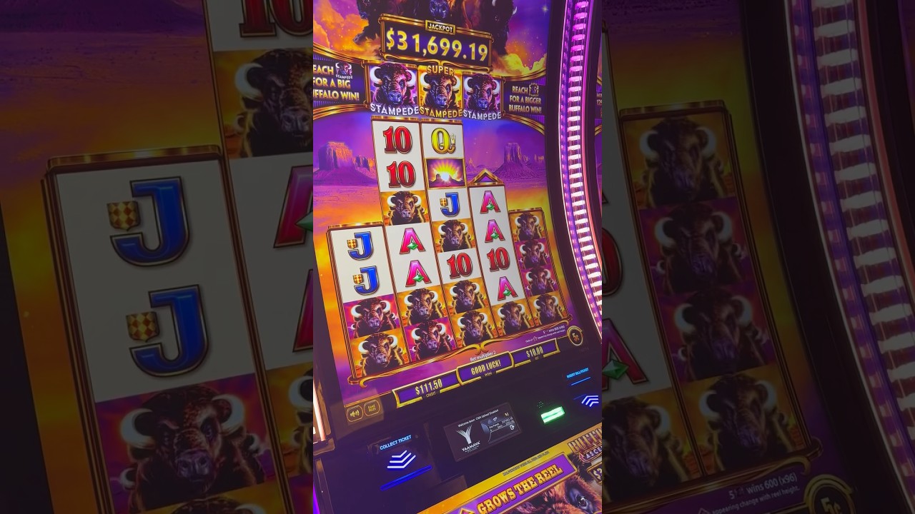 SUPER STAMPEDE!! It’s A BIG one #Norwegian Casino Online #gamingshorts #yaamava