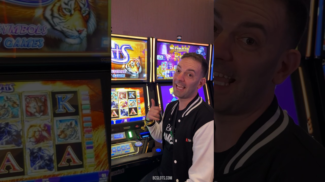 High Limit CATS! #Slots #Norwegian Casino Online #Vegas